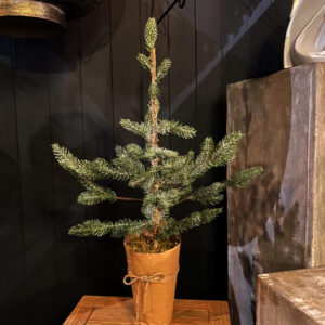 Decorative Spruce Tree